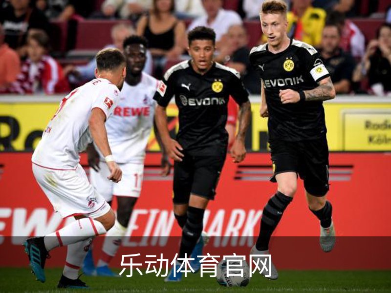 乐动体育官网概况